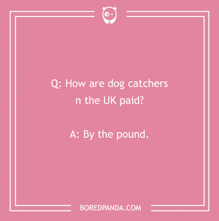 Funny dog joke on a pink background about UK dog catchers paid by the pound.