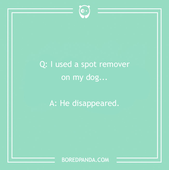 Dog joke on teal background: "Q: I used a spot remover on my dog... A: He disappeared."