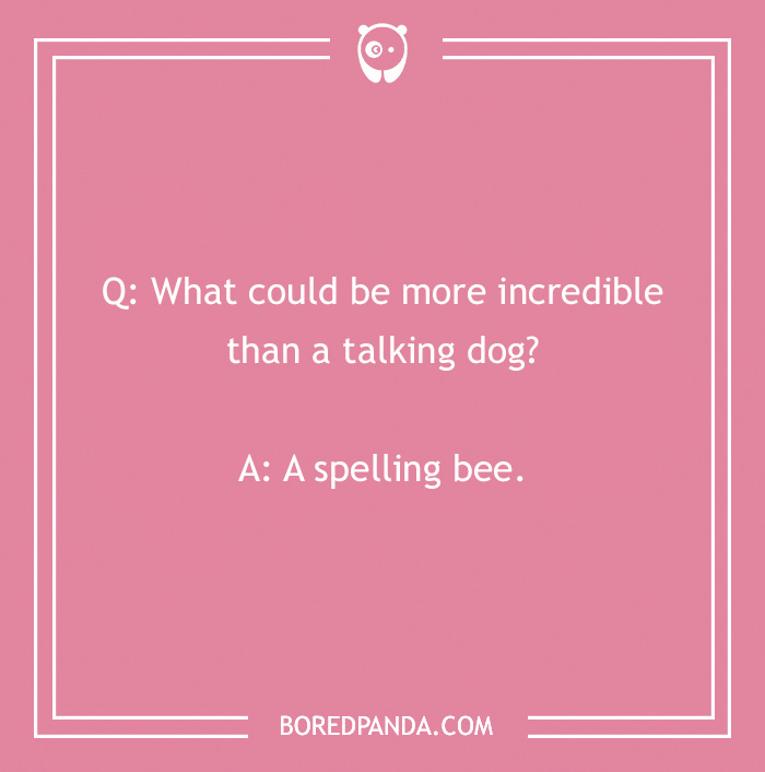 Dog joke on pink background: "Q: What could be more incredible than a talking dog? A: A spelling bee."