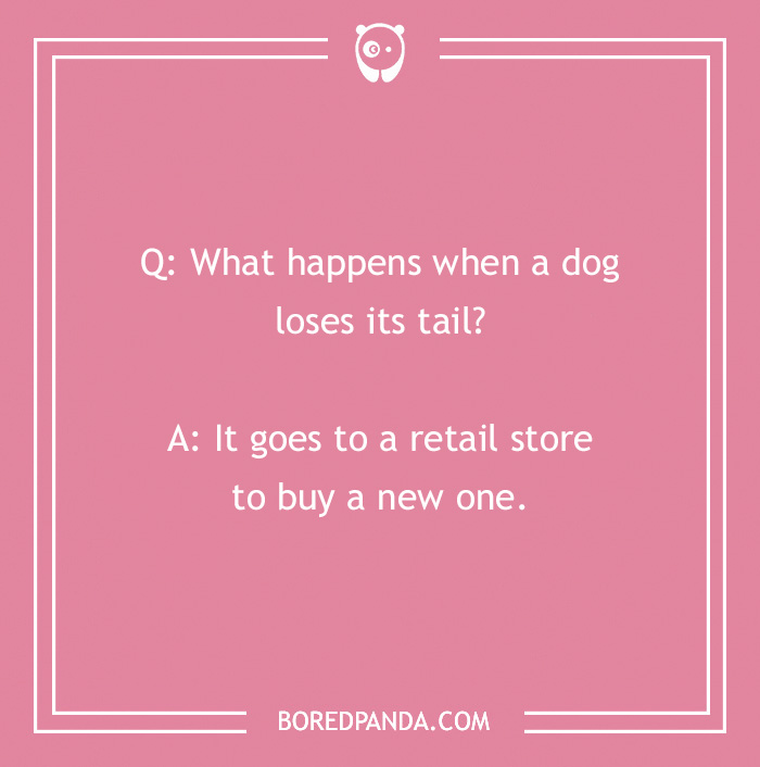 Dog joke on a pink background: "What happens when a dog loses its tail? It goes to a retail store to buy a new one."