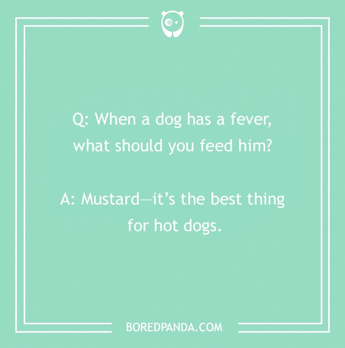 Dog joke about feeding mustard for hot dogs, on a teal background.