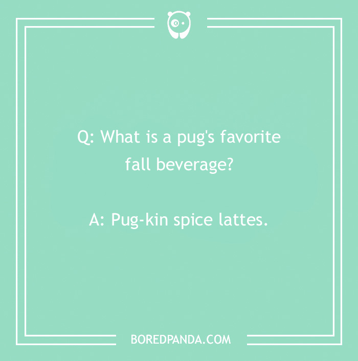 Dog joke about a pug's favorite fall drink: "Pug-kin spice lattes," on a green background.