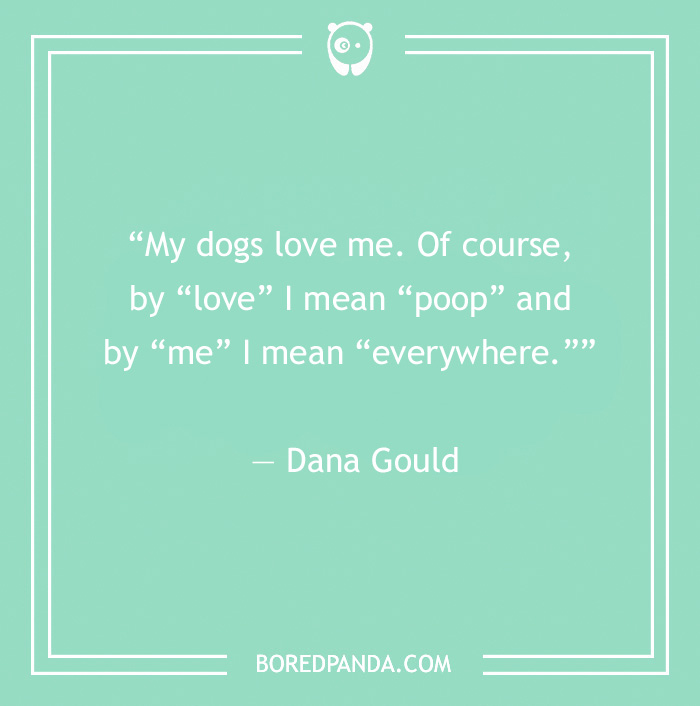 Quote by Dana Gould on a green background, from BoredPanda, joking about dogs and their antics.