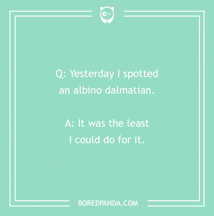 Dog joke text: "Q: Yesterday I spotted an albino dalmatian. A: It was the least I could do for it."