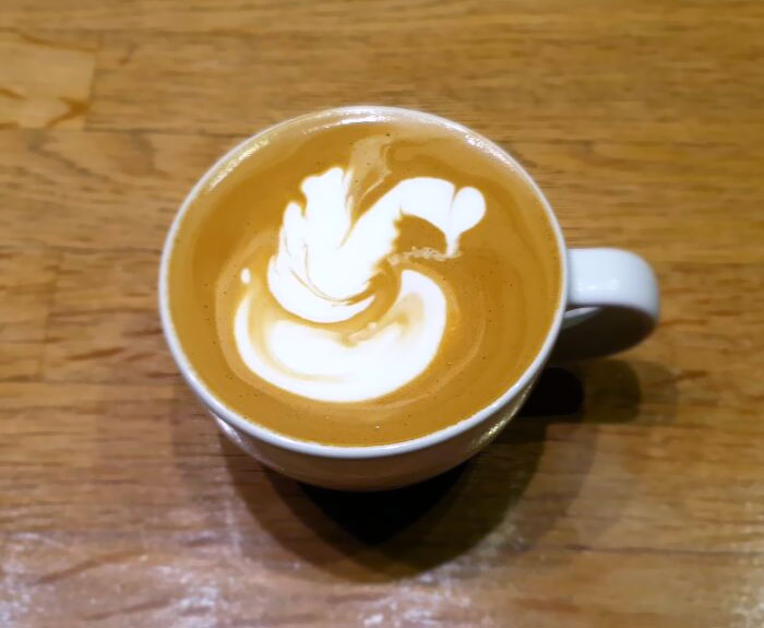 First Time To Pour A Swan