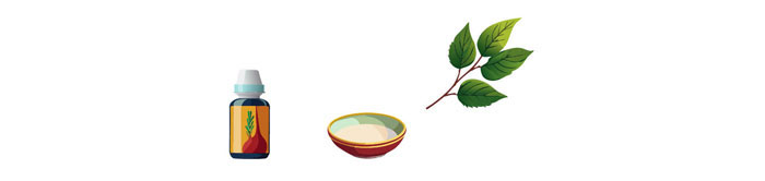 Illustration of propagating lisianthus by stem cuttings