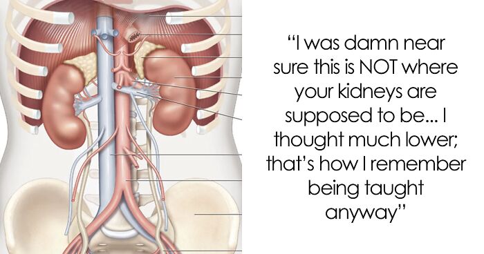 This Group Is Dedicated To Discussing The Mandela Effect, Here Are 30 Of Their Best Examples