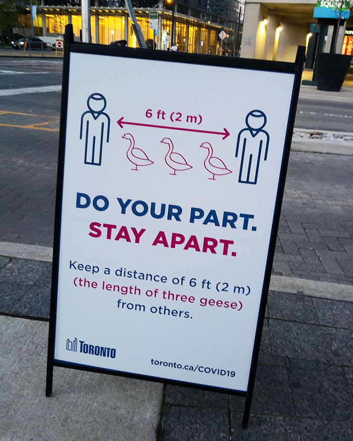 Geese Are Used As A Measurement In Canada