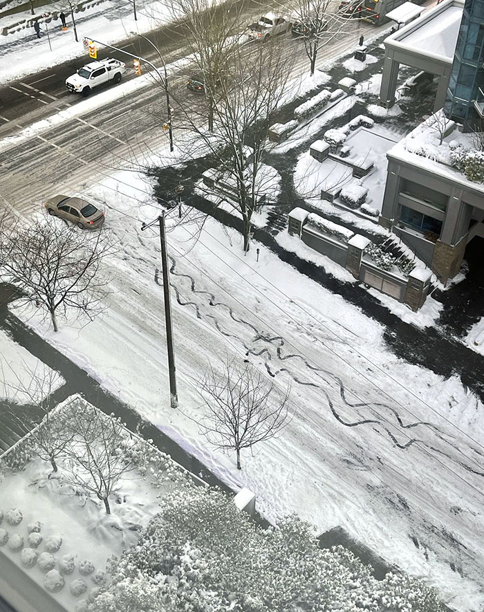 El camino al éxito nunca es una línea recta