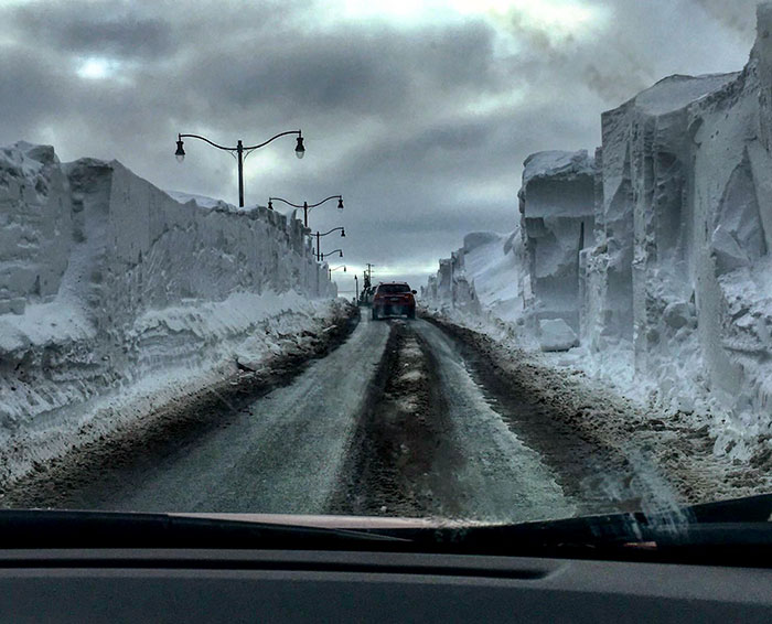 El camino a hacer la compra parece una película de miedo