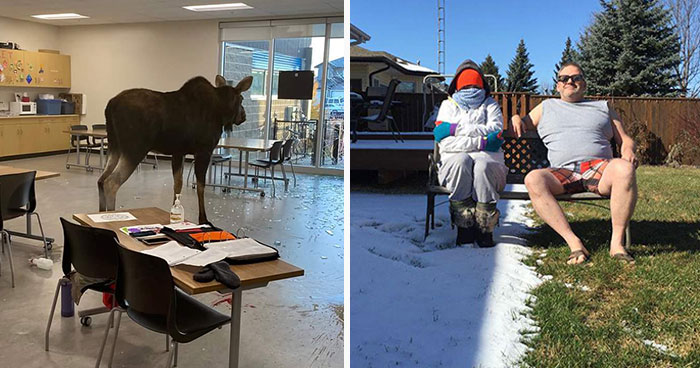 33 Fotos que resumen Canadá perfectamente (nuevas imágenes)