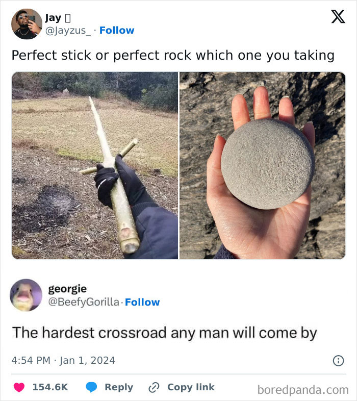 Meme from Men's Humor showing a choice between a perfect stick and a perfect rock, sparking humorous debate.