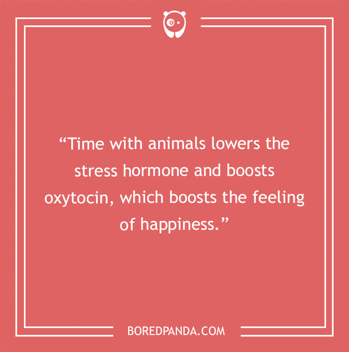 73 Mental Health Tips For An Improved Emotional Balance