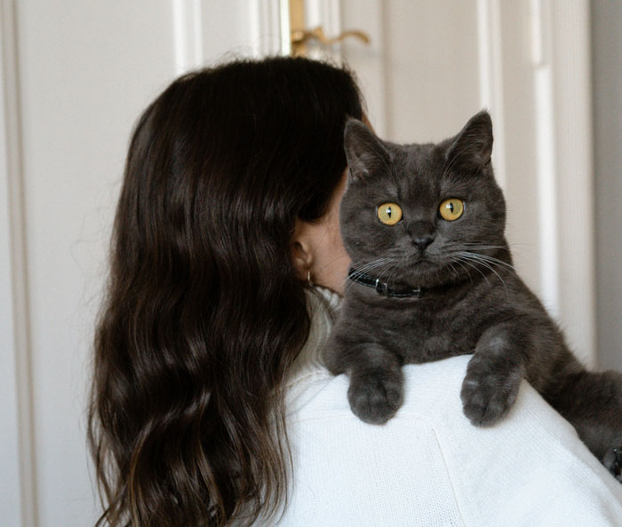 Man Disappoints Wife By Suggesting She Move Out To Avoid Moving His Senior Cat She&rsquo;s Allergic To