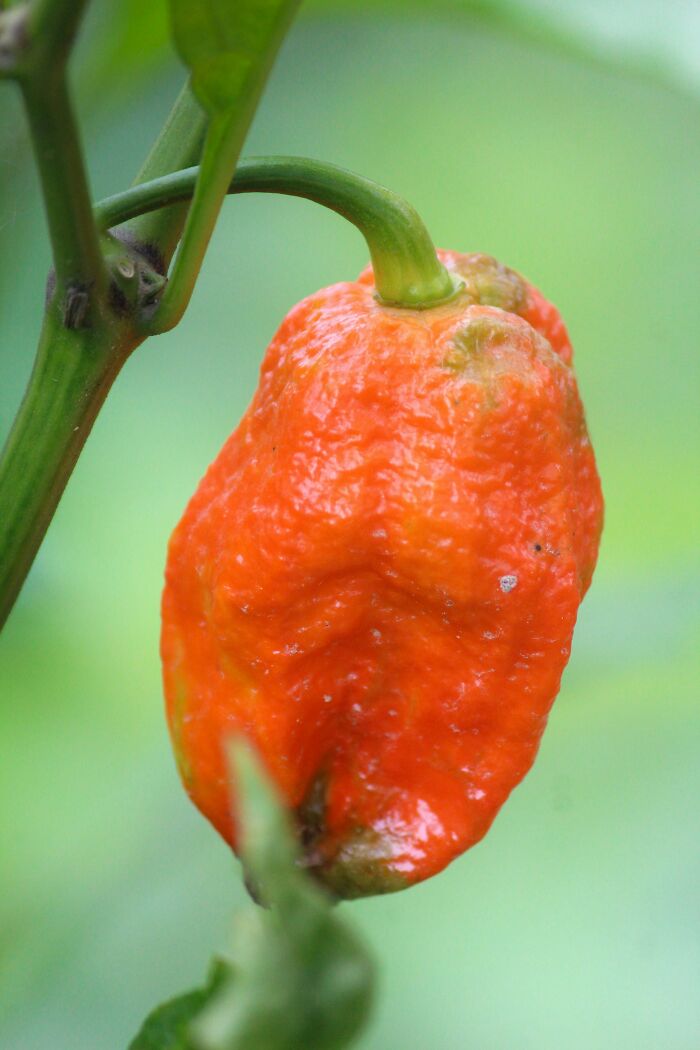 30 Stories Of New Hires Messing Up So Bad They Got Sacked