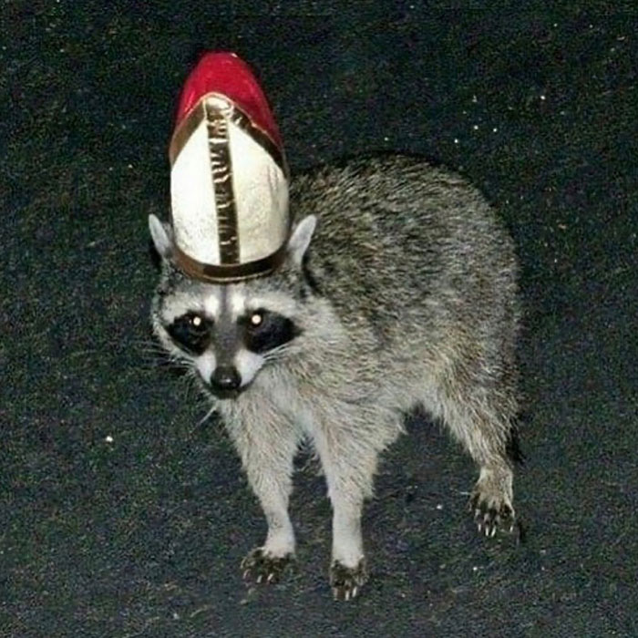 No-Context-Cursed-Images