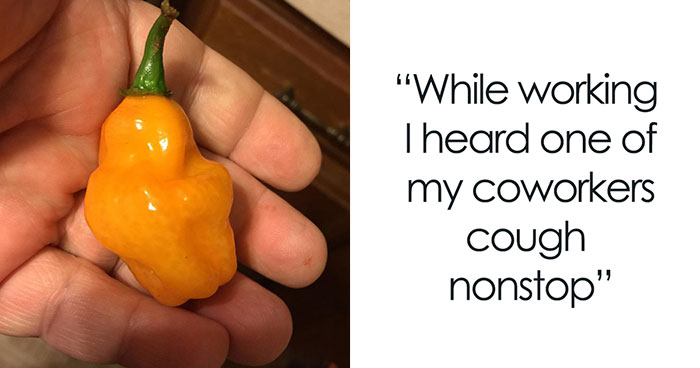 Person Exposes Office Food Thief With A Planted Lunch Burrito: “He Immediately Threw Up”