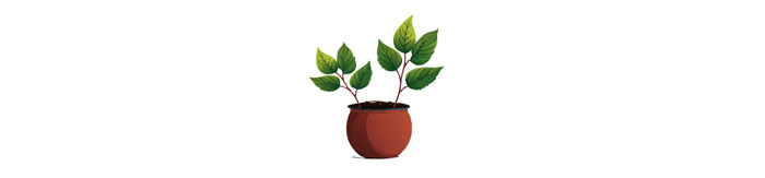 Pot with stems Pot with stems