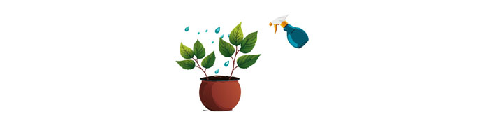 Illustration of spraying the plant in the pot Illustration of spraying the plant in the pot