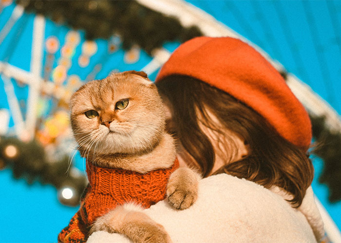 30 Child-Free Couples Share How Their Life Without Children Turned Out