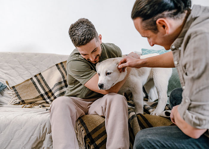 30 Child-Free Couples Share How Their Life Without Children Turned Out