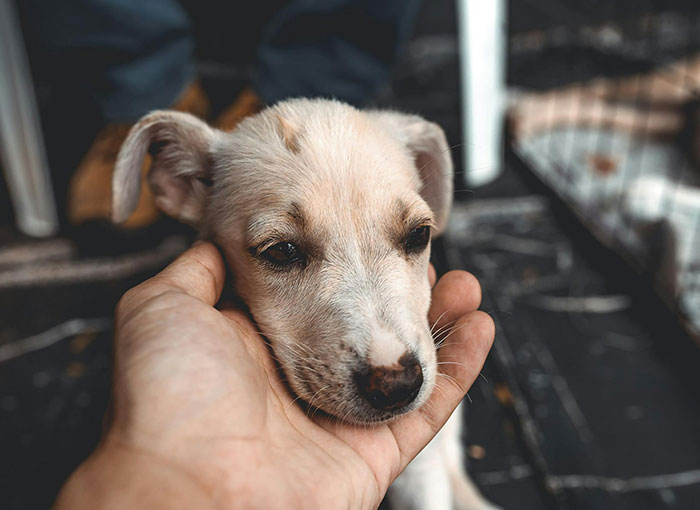 30 People Share Their Jobs That They Wouldn't Quit Even If They Hit A Jackpot