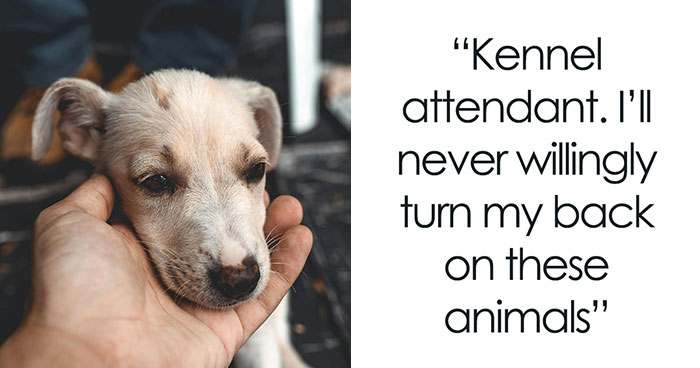 30 People Share Their Jobs That They Wouldn’t Quit Even If They Hit A Jackpot