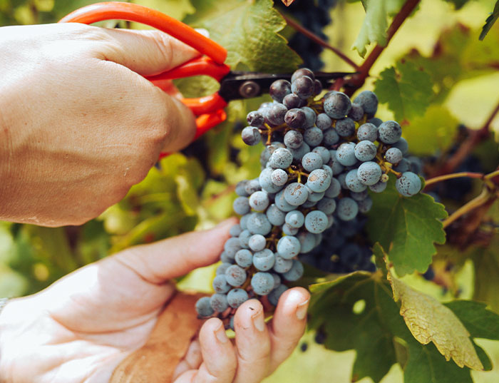 30 People Share Their Jobs That They Wouldn't Quit Even If They Hit A Jackpot