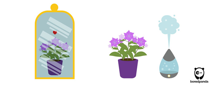 Illustrations of a periwinkle plant in a purple pot, reflected in a mirror, alongside a humidifier releasing mist.