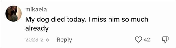 “It's Time For Things To Change”: Vet Discusses How Vital It Is To Grieve After Losing A Pet “It's Time For Things To Change”: Vet Discusses How Vital It Is To Grieve After Losing A Pet