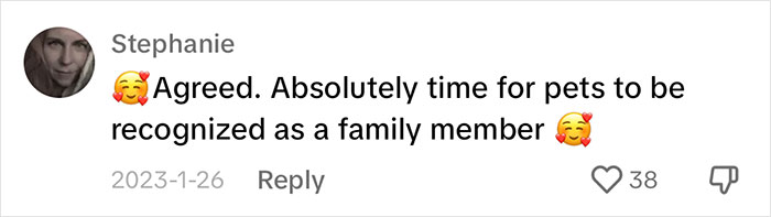 “It's Time For Things To Change”: Vet Discusses How Vital It Is To Grieve After Losing A Pet “It's Time For Things To Change”: Vet Discusses How Vital It Is To Grieve After Losing A Pet