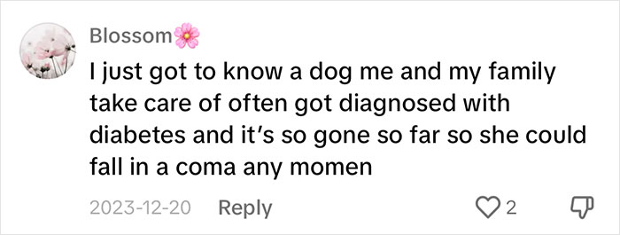 “It's Time For Things To Change”: Vet Discusses How Vital It Is To Grieve After Losing A Pet “It's Time For Things To Change”: Vet Discusses How Vital It Is To Grieve After Losing A Pet