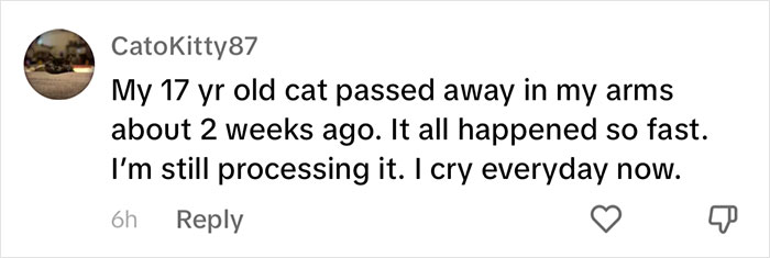 “It's Time For Things To Change”: Vet Discusses How Vital It Is To Grieve After Losing A Pet “It's Time For Things To Change”: Vet Discusses How Vital It Is To Grieve After Losing A Pet