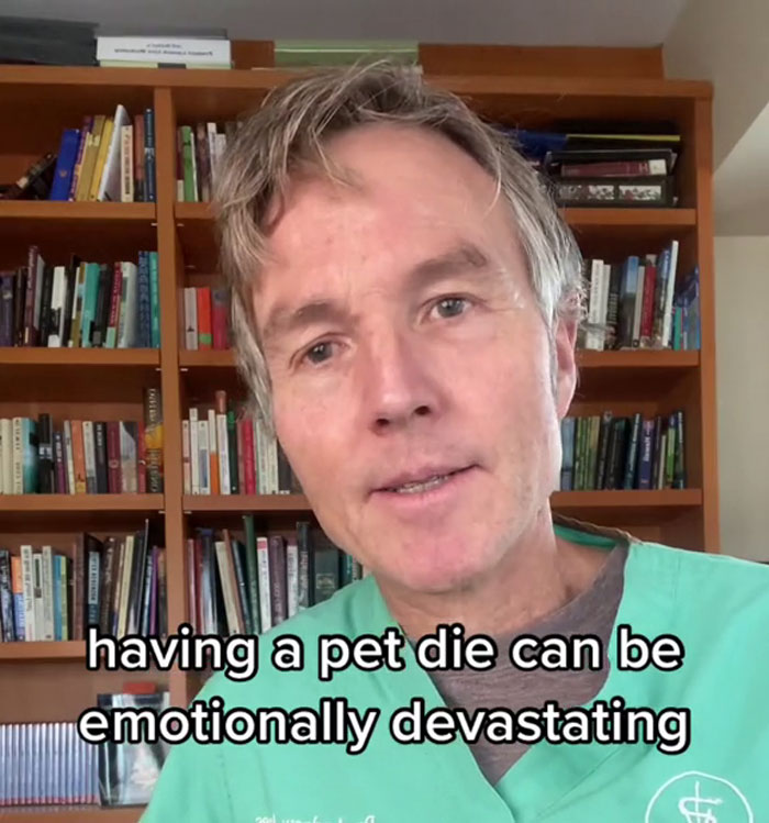 “It's Time For Things To Change”: Vet Discusses How Vital It Is To Grieve After Losing A Pet “It's Time For Things To Change”: Vet Discusses How Vital It Is To Grieve After Losing A Pet