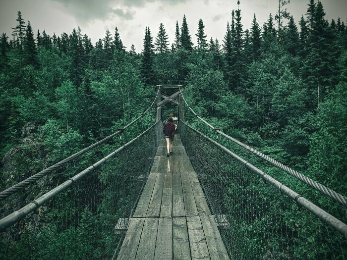 Person walking alone on a wooden suspension bridge surrounded by dense forest, evoking memorable strangers stories online.