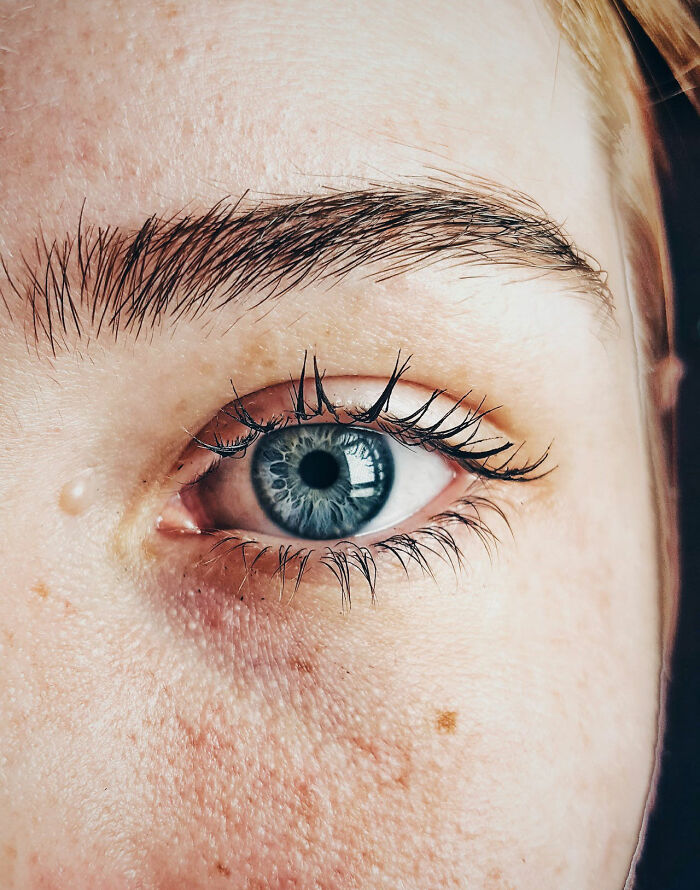 “Cheetahs Are Extremely Inbred”: 50 Interesting Genetics Facts You May Have Missed At School