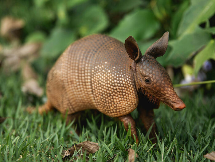 35 Random Facts That Nobody Really Asked For, But They Are Interesting To Know