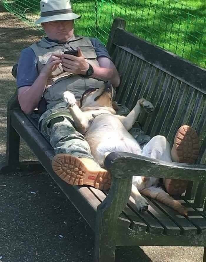 Man relaxing on a bench with a dog lying on him, using his phone.