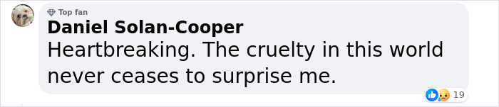 9-Year-Old Lived Alone For 2 Years, Fed Himself, And Kept Good Grades