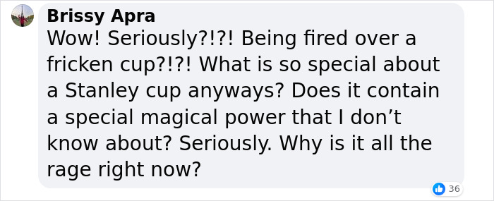 &ldquo;Is A Cup Worth Your Job?&ldquo;: Target Employees Across The US Get Sacked Over Stanley Cups