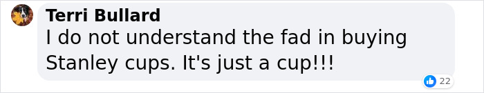 &ldquo;Is A Cup Worth Your Job?&ldquo;: Target Employees Across The US Get Sacked Over Stanley Cups