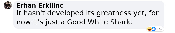 “Absolutely Mesmerizing”: Everyone’s Fawning Over First-Ever Photos Of A Baby Great White Shark “Absolutely Mesmerizing”: Everyone’s Fawning Over First-Ever Photos Of A Baby Great White Shark