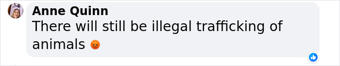 South Korea Bans Dog Meat Trade, Sparking Debate Between Older And Younger Generations