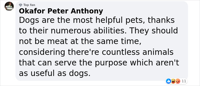 South Korea Bans Dog Meat Trade, Sparking Debate Between Older And Younger Generations