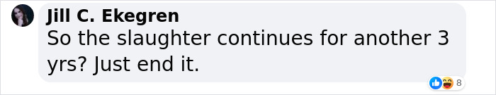 South Korea Bans Dog Meat Trade, Sparking Debate Between Older And Younger Generations