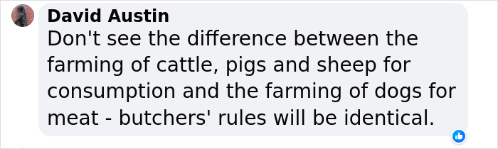 South Korea Bans Dog Meat Trade, Sparking Debate Between Older And Younger Generations