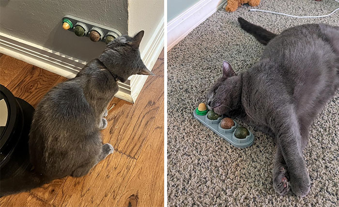 Get These 100% Natural Catnip Balls For Your Feline Friend And Watch Boredom Take A Backseat — Plus, They Promote Dental Health And Keep Their Energy In Check!