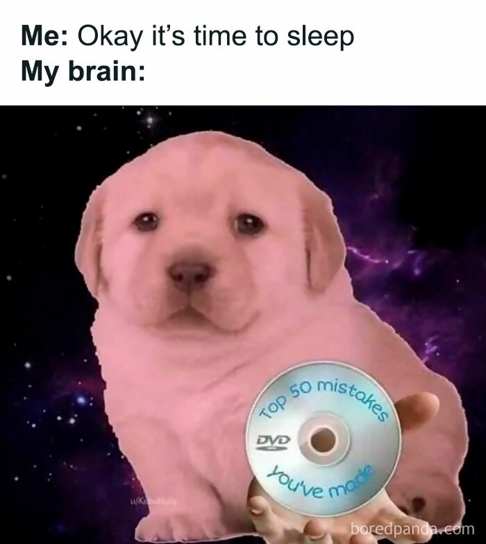 Queen-Of-Sarcasm-Memes