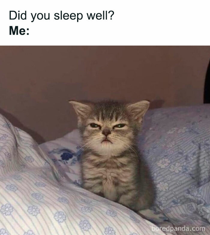 Queen-Of-Sarcasm-Memes