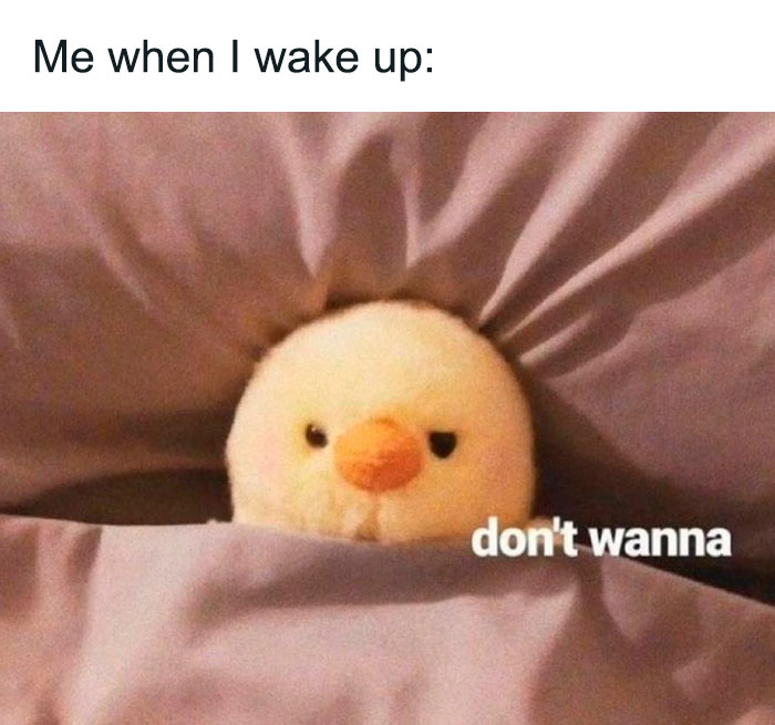 Queen-Of-Sarcasm-Memes